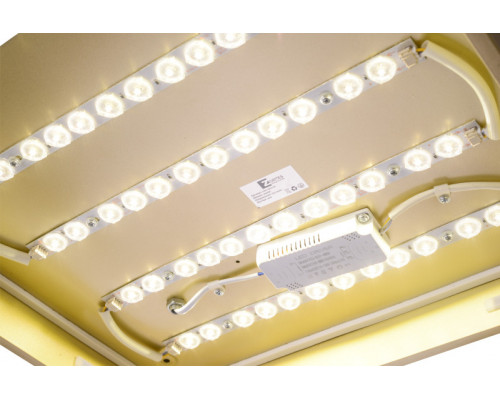 Купить Накладной светильник Zortes ZRS.1215.03| VIVID-LIGHT.RU