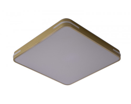 Купить Накладной светильник Zortes ZRS.1215.04| VIVID-LIGHT.RU