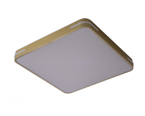 Купить Накладной светильник Zortes ZRS.1215.04| VIVID-LIGHT.RU