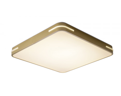 Купить Накладной светильник Zortes ZRS.1215.04| VIVID-LIGHT.RU