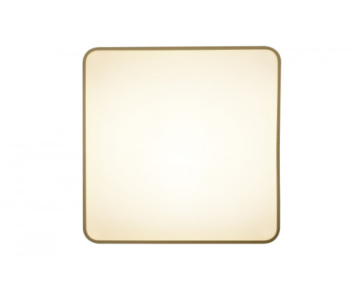 Купить Накладной светильник Zortes ZRS.1215.04| VIVID-LIGHT.RU