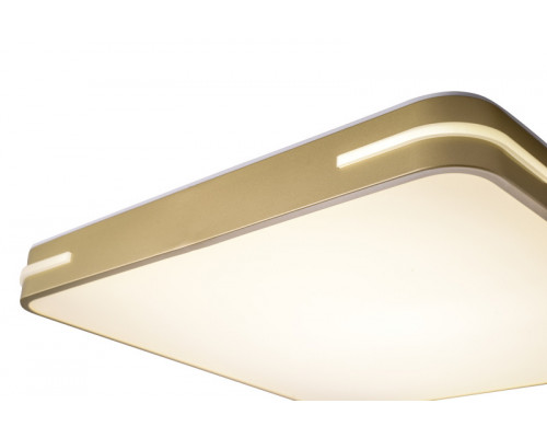 Купить Накладной светильник Zortes ZRS.1215.04| VIVID-LIGHT.RU