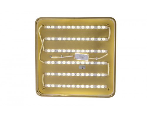 Купить Накладной светильник Zortes ZRS.1215.04| VIVID-LIGHT.RU