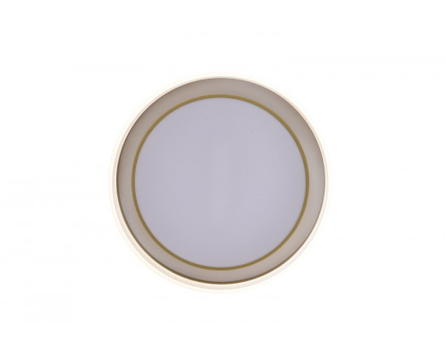 Оформить заказ Накладной светильник Zortes ZRS.1200.01| VIVID-LIGHT.RU