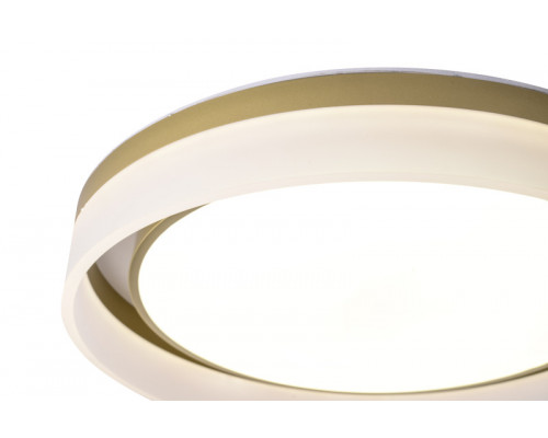 Оформить заказ Накладной светильник Zortes ZRS.1200.01| VIVID-LIGHT.RU