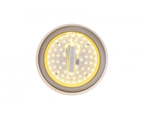 Оформить заказ Накладной светильник Zortes ZRS.1200.01| VIVID-LIGHT.RU