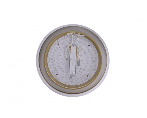 Оформить заказ Накладной светильник Zortes ZRS.1200.01| VIVID-LIGHT.RU