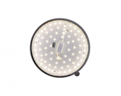 Сделать заказ Накладной светильник Zortes ZRS.1209.15| VIVID-LIGHT.RU