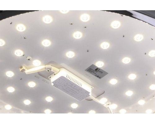 Сделать заказ Накладной светильник Zortes ZRS.1209.15| VIVID-LIGHT.RU