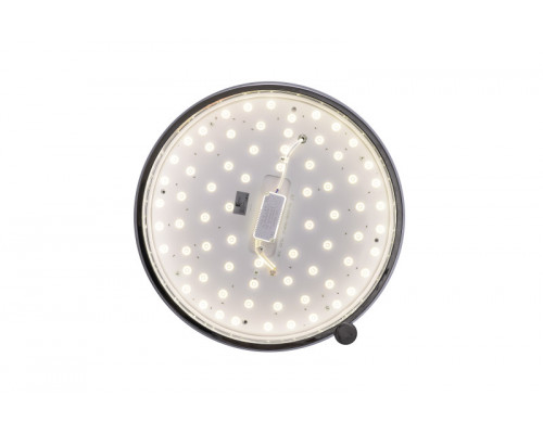 Оформить заказ Накладной светильник Zortes ZRS.1209.16| VIVID-LIGHT.RU