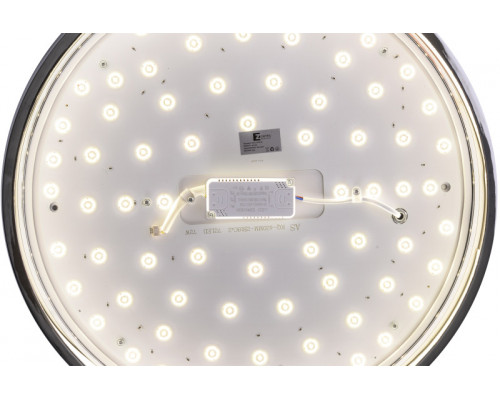 Оформить заказ Накладной светильник Zortes ZRS.1209.16| VIVID-LIGHT.RU