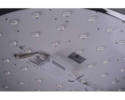 Оформить заказ Накладной светильник Zortes ZRS.1209.16| VIVID-LIGHT.RU