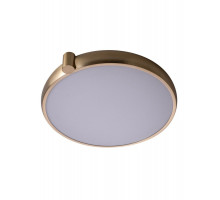 Накладной светильник Zortes ZRS.1209.17