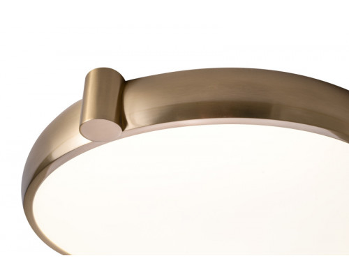 Заказать Накладной светильник Zortes ZRS.1209.17| VIVID-LIGHT.RU