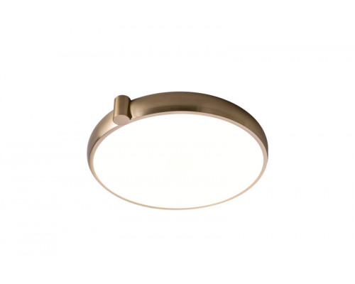 Заказать Накладной светильник Zortes ZRS.1209.17| VIVID-LIGHT.RU