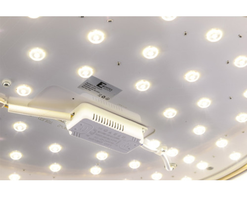 Заказать Накладной светильник Zortes ZRS.1209.17| VIVID-LIGHT.RU