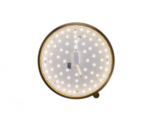 Заказать Накладной светильник Zortes ZRS.1209.17| VIVID-LIGHT.RU