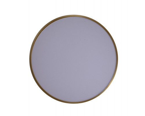 Сделать заказ Накладной светильник Zortes ZRS.1209.11| VIVID-LIGHT.RU