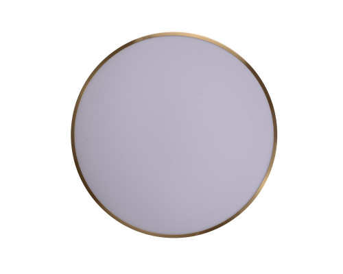 Купить Накладной светильник Zortes ZRS.1209.12| VIVID-LIGHT.RU