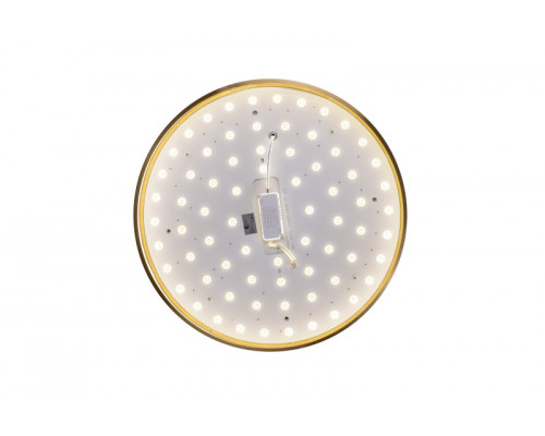 Купить Накладной светильник Zortes ZRS.1209.12| VIVID-LIGHT.RU