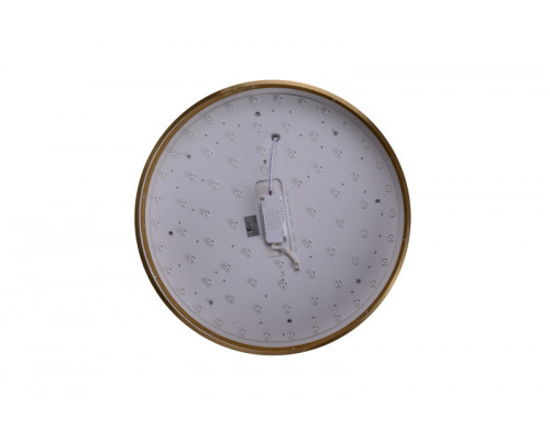 Купить Накладной светильник Zortes ZRS.1209.12| VIVID-LIGHT.RU