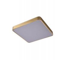 Накладной светильник Zortes ZRS.1209.03