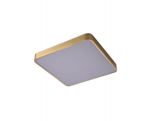 Сделать заказ Накладной светильник Zortes ZRS.1209.03| VIVID-LIGHT.RU