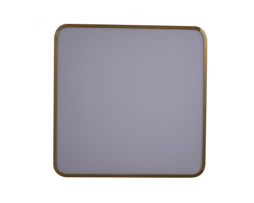 Сделать заказ Накладной светильник Zortes ZRS.1209.03| VIVID-LIGHT.RU