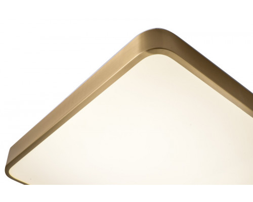 Сделать заказ Накладной светильник Zortes ZRS.1209.03| VIVID-LIGHT.RU