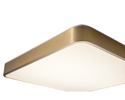 Сделать заказ Накладной светильник Zortes ZRS.1209.03| VIVID-LIGHT.RU