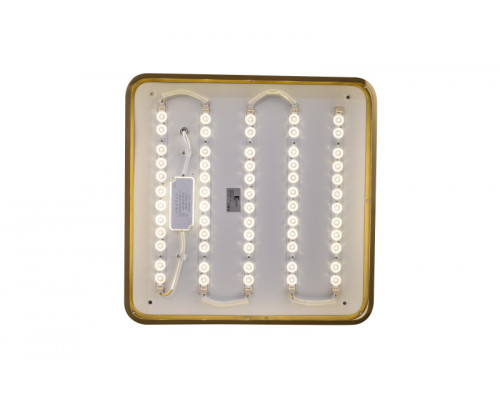 Сделать заказ Накладной светильник Zortes ZRS.1209.03| VIVID-LIGHT.RU