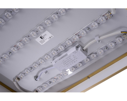 Сделать заказ Накладной светильник Zortes ZRS.1209.03| VIVID-LIGHT.RU