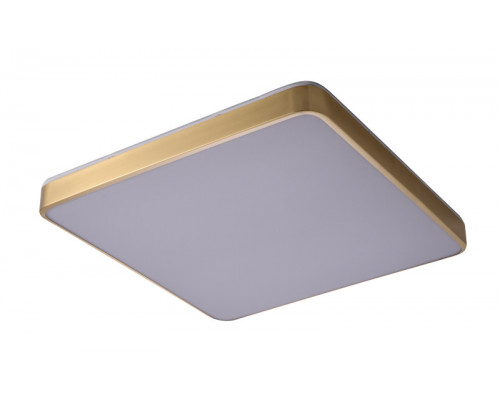 Купить Накладной светильник Zortes ZRS.1209.05| VIVID-LIGHT.RU