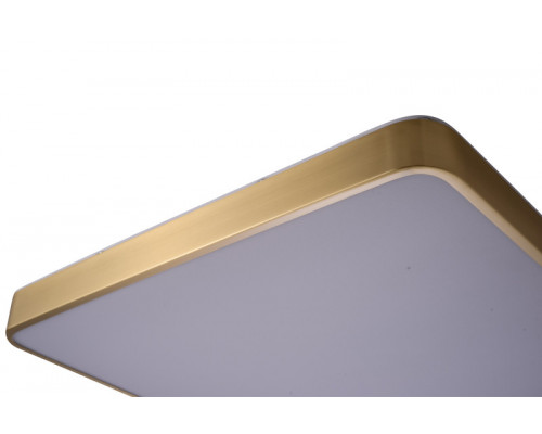 Купить Накладной светильник Zortes ZRS.1209.05| VIVID-LIGHT.RU