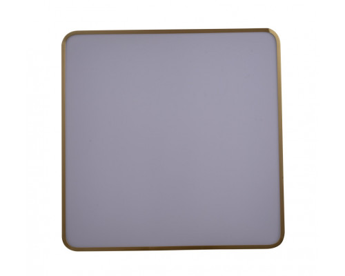 Купить Накладной светильник Zortes ZRS.1209.05| VIVID-LIGHT.RU