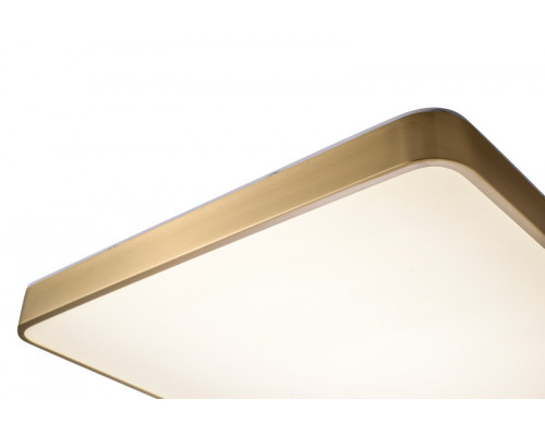 Купить Накладной светильник Zortes ZRS.1209.05| VIVID-LIGHT.RU