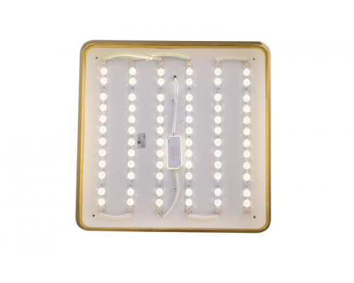 Купить Накладной светильник Zortes ZRS.1209.05| VIVID-LIGHT.RU