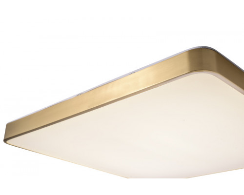 Сделать заказ Накладной светильник Zortes ZRS.1209.07| VIVID-LIGHT.RU