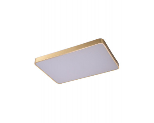 Сделать заказ Накладной светильник Zortes ZRS.1209.09| VIVID-LIGHT.RU