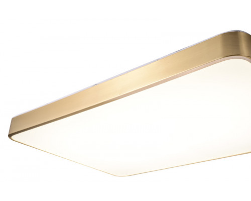 Сделать заказ Накладной светильник Zortes ZRS.1209.09| VIVID-LIGHT.RU