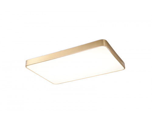 Сделать заказ Накладной светильник Zortes ZRS.1209.09| VIVID-LIGHT.RU