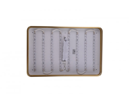 Сделать заказ Накладной светильник Zortes ZRS.1209.09| VIVID-LIGHT.RU