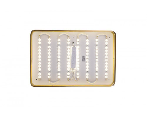 Сделать заказ Накладной светильник Zortes ZRS.1209.09| VIVID-LIGHT.RU