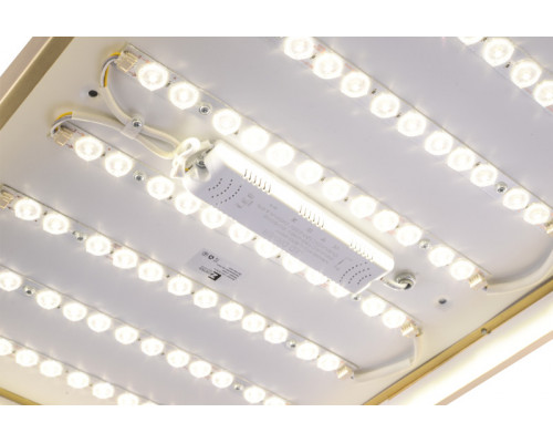 Сделать заказ Накладной светильник Zortes ZRS.1209.09| VIVID-LIGHT.RU