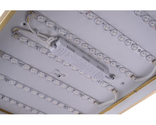 Сделать заказ Накладной светильник Zortes ZRS.1209.09| VIVID-LIGHT.RU