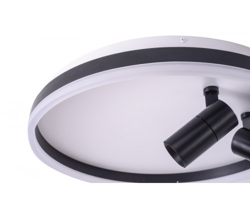 Купить Накладной светильник Zortes ZRS.1888.01| VIVID-LIGHT.RU