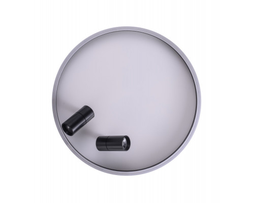 Купить Накладной светильник Zortes ZRS.1888.01| VIVID-LIGHT.RU