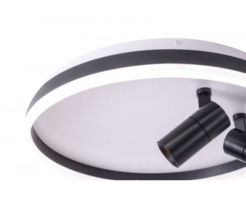 Купить Накладной светильник Zortes ZRS.1888.01| VIVID-LIGHT.RU