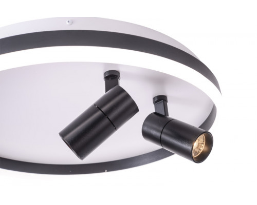 Купить Накладной светильник Zortes ZRS.1888.01| VIVID-LIGHT.RU