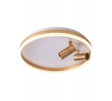 Накладной светильник Zortes ZRS.1888.02